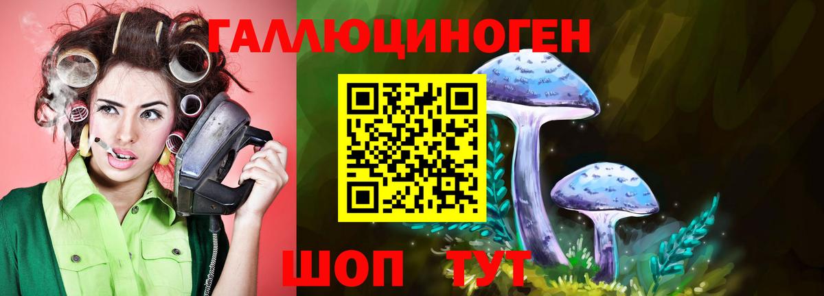 Галлюциногенные грибы Cubensis  Вход с VPN  Мыски  Галлюциногенные грибы MAGIC MUSHROOMS 